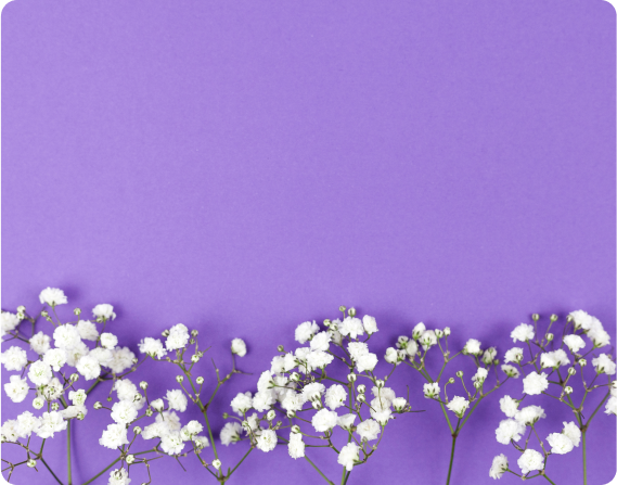 -flower-shop